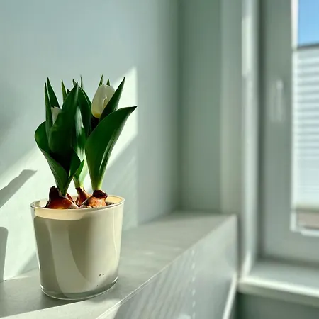 Ebbe Flut, Whg 7 * Westerland