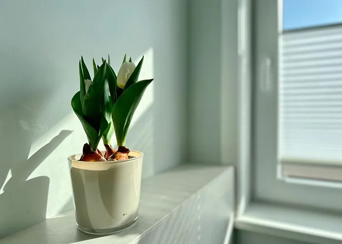 Ebbe Flut, Whg 7 * Westerland